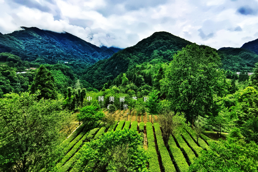 瓦力游戏·(中国区) - 官方网站